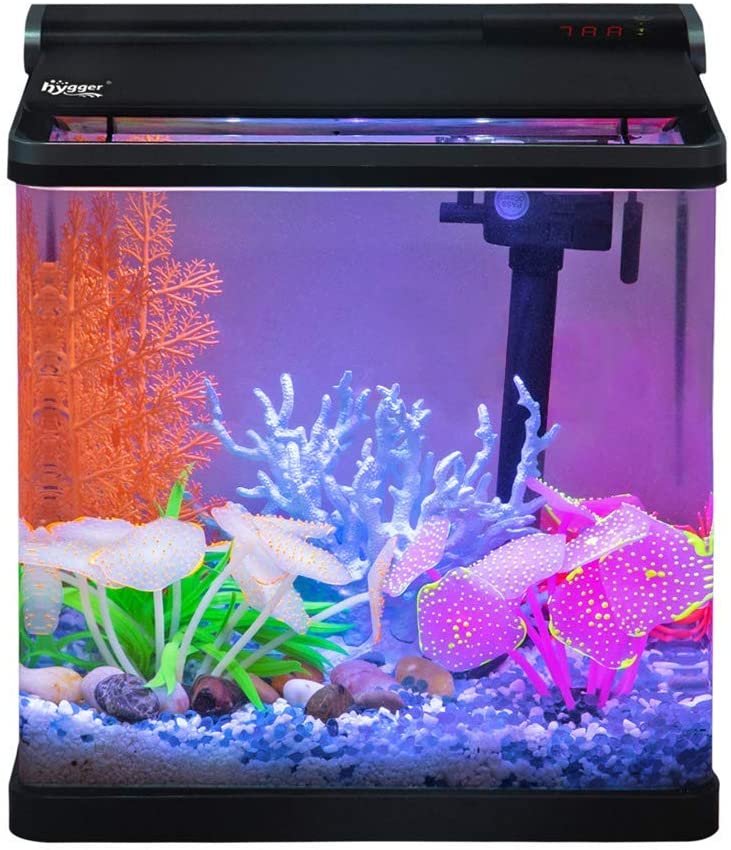 10 Best Small Marine Aquarium Tanks [2023 Picks]