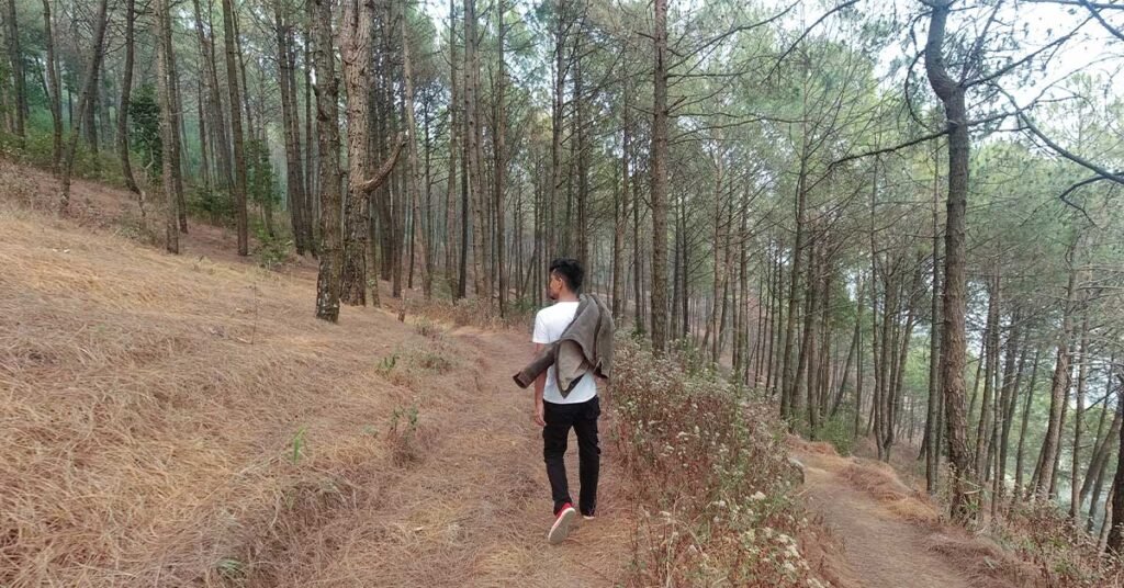 palpa shreenagar boy walking alone in forest between tall trees